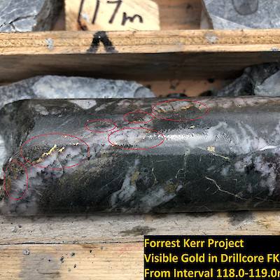 Visible Gold in Drillcore at Forrest Kerr Project Hole FK18-10